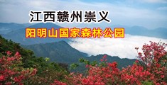 蘑菇视频无码坛社区在线